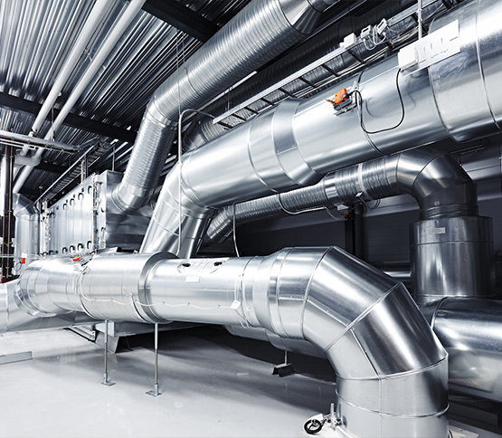 ТОО "EverGreen Services"